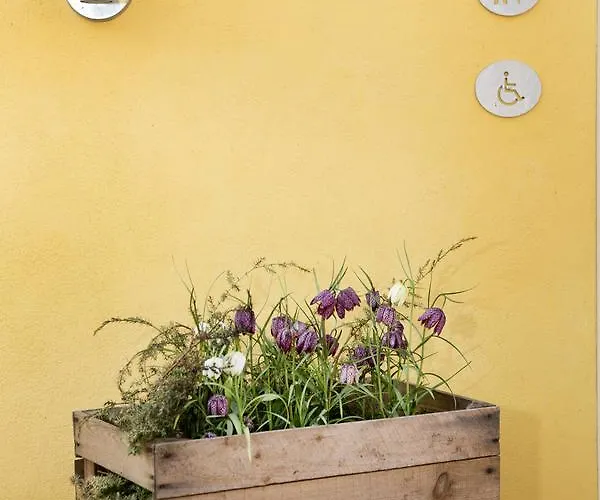 Residens Møen Stege